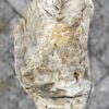 Grafsteen versteend hout 56086