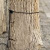 Grafsteen versteend hout 56088