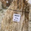 Grafsteen versteend hout 56092