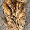 Grafsteen versteend hout 56092