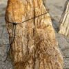 Grafsteen versteend hout 56092