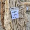 Grafsteen versteend hout 56094