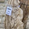 Grafsteen versteend hout 56094