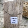 Grafsteen versteend hout 56096