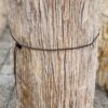 Grafsteen versteend hout 56096