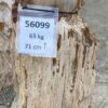 Grafsteen versteend hout 56099