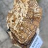 Grafsteen versteend hout 56099