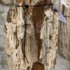 Grafsteen versteend hout 56099