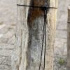 Grafsteen versteend hout 56100