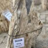 Grafsteen versteend hout 56108