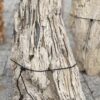 Grafsteen versteend hout 56108