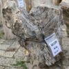 Grafsteen versteend hout 56109