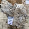 Grafsteen versteend hout 56109