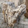 Grafsteen versteend hout 56109