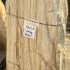 Grafsteen versteend hout 56114