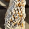 Grafsteen versteend hout 56114
