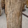 Grafsteen versteend hout 56115