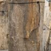Grafsteen versteend hout 56115