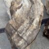 Grafsteen versteend hout 56115