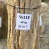 Grafsteen versteend hout 56119