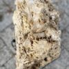 Grafsteen versteend hout 56130