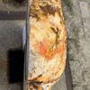 Grafsteen versteend hout 56135