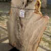 Grafsteen versteend hout 56135