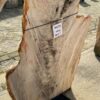 Grafsteen versteend hout 56135