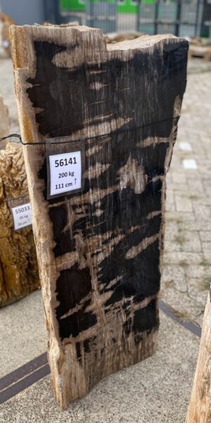 Grafsteen versteend hout 56141