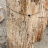 Grafsteen versteend hout 56141