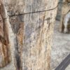 Grafsteen versteend hout 56141