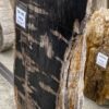 Grafsteen versteend hout 56141