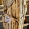 Grafsteen versteend hout 56264