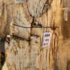 Grafsteen versteend hout 56264