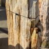 Grafsteen versteend hout 56264