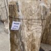 Grafsteen versteend hout 56269