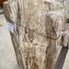 Grafsteen versteend hout 56269