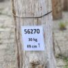 Grafsteen versteend hout 56270