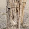 Grafsteen versteend hout 56270