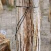 Grafsteen versteend hout 56271