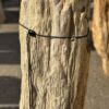 Grafsteen versteend hout 56291