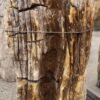 Grafsteen versteend hout 57048
