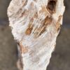 Grafsteen versteend hout 57054
