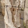 Grafsteen versteend hout 57054