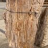 Grafsteen versteend hout 57055
