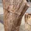 Grafsteen versteend hout 57055