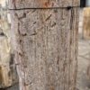 Grafsteen versteend hout 57056