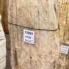 Grafsteen versteend hout 57058
