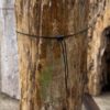 Grafsteen versteend hout 57060