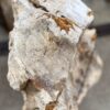 Grafsteen versteend hout 57062